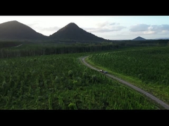 การทดสอบ 1080P